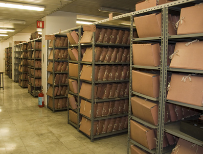 Archiwum zakładowe – przygotowanie do kompleksowej opieki nad archiwum zakładowym lub składnicą akt